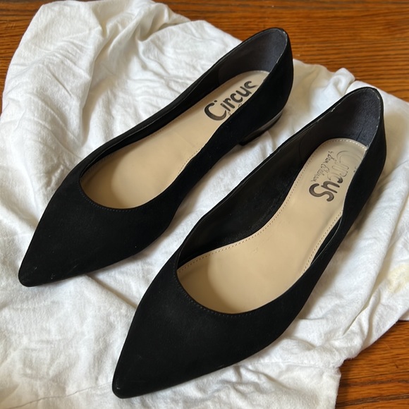 Circus by Sam Edelman - Black Suede Pointed Flats - Picture 8 of 8